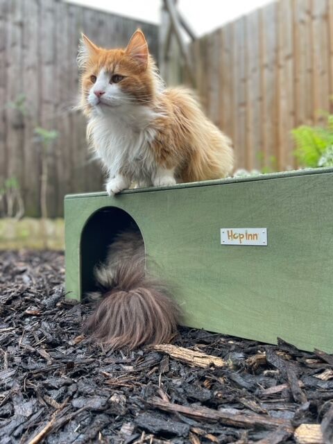 Arched Two Way Rabbit Hideaway Cat Condo (Various Colours) - Image 3