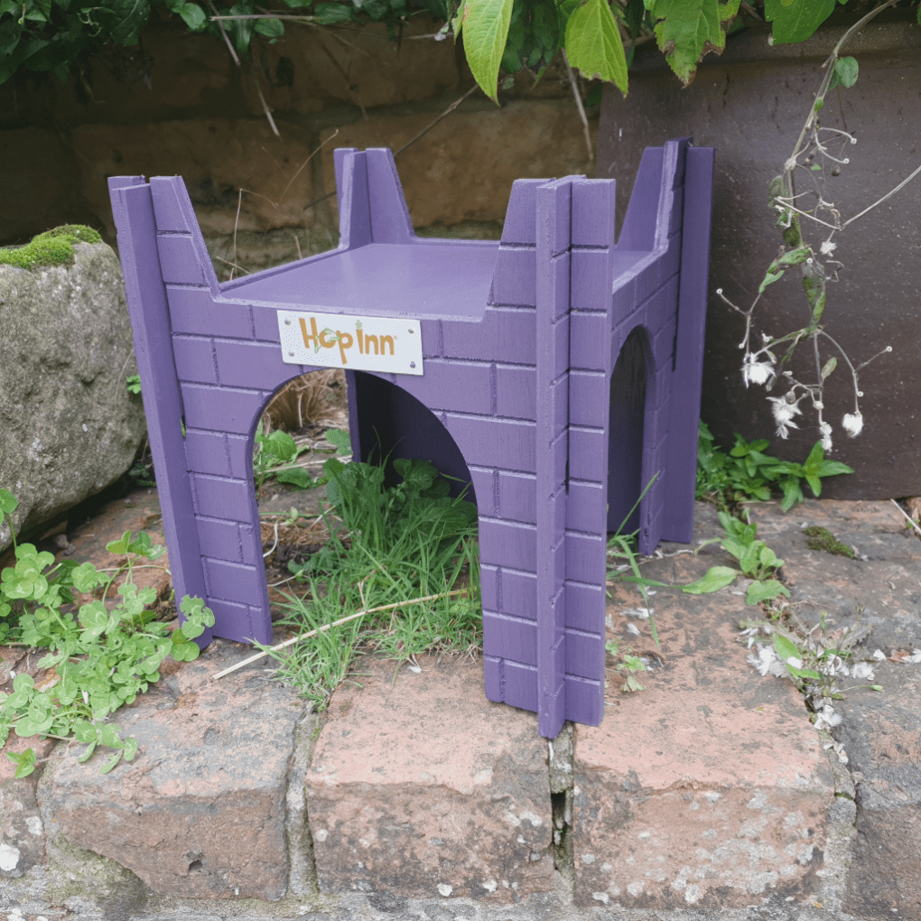 Guinea Pig Castle Hideaway use Together or Separately (Czar Plum) - Image 8