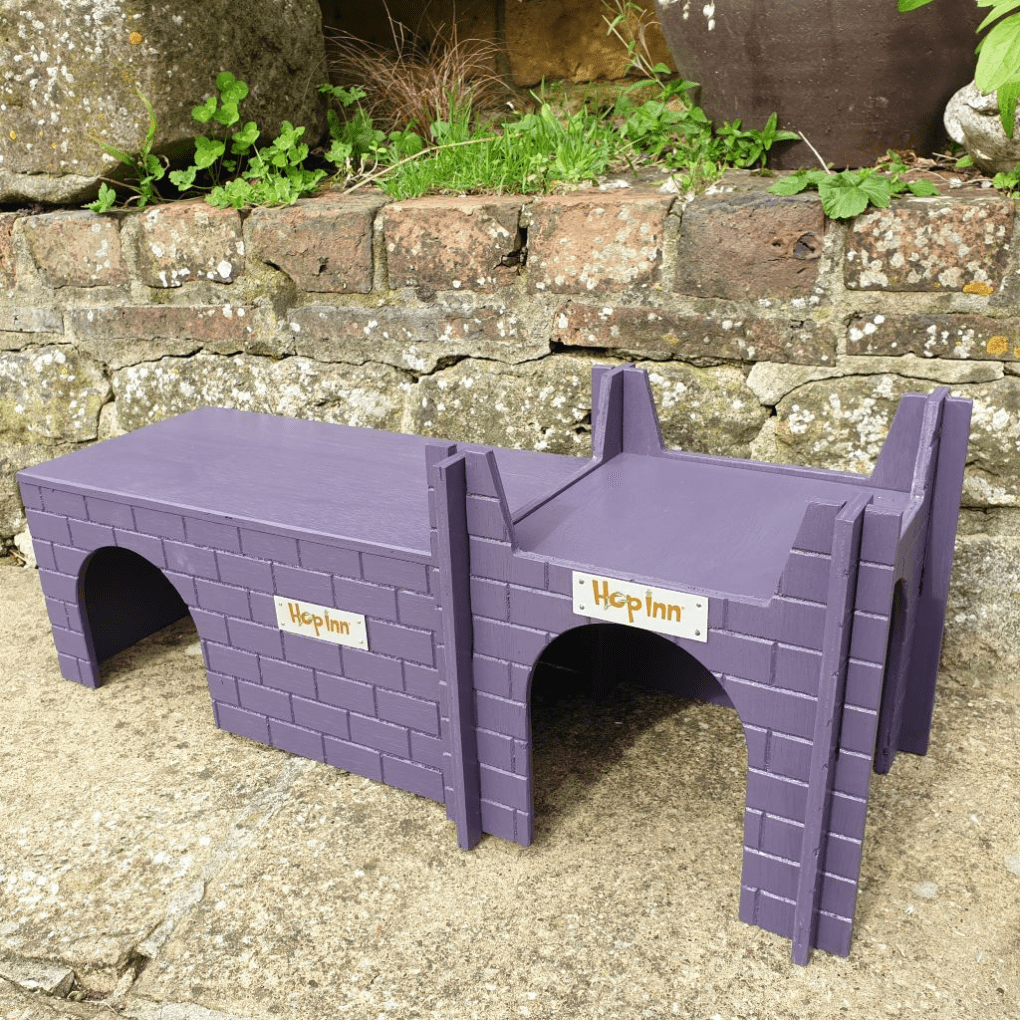 Guinea Pig Castle Hideaway use Together or Separately (Czar Plum) - Image 4