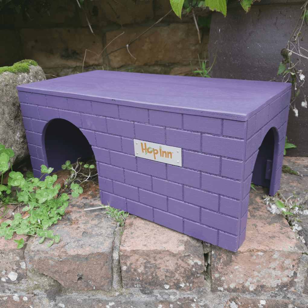 Guinea Pig Castle Hideaway use Together or Separately (Czar Plum) - Image 9