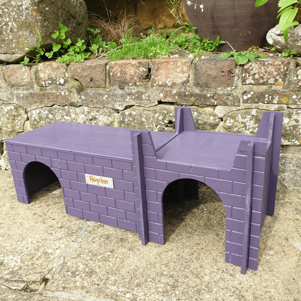 Guinea Pig Castle Hideaway use Together or Separately (Czar Plum) - Image 3