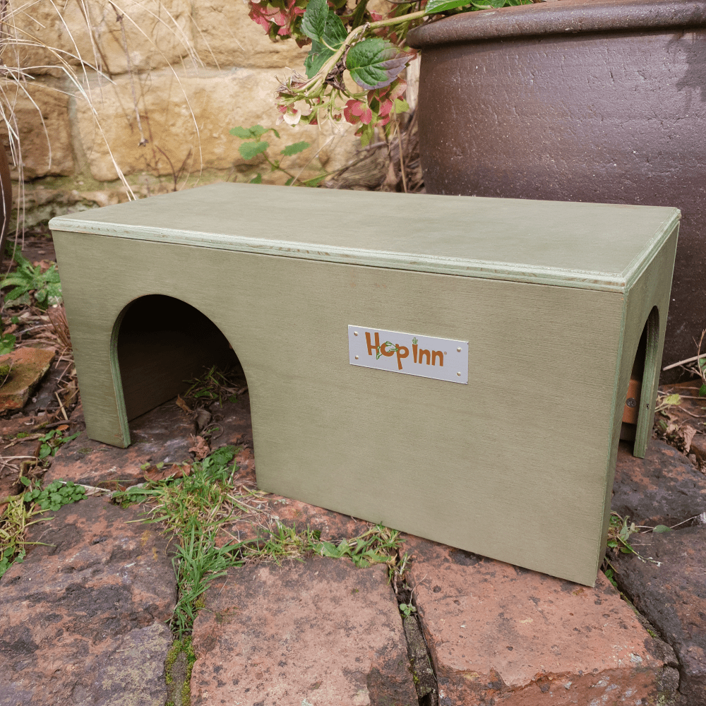Guinea Pig House - Moss Green