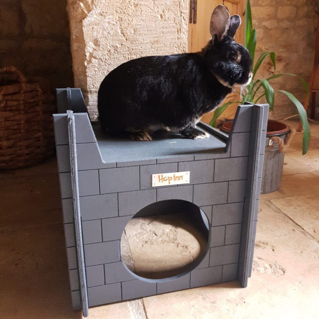 Rabbit Castle for Cats and Kittens too (Slate Grey)