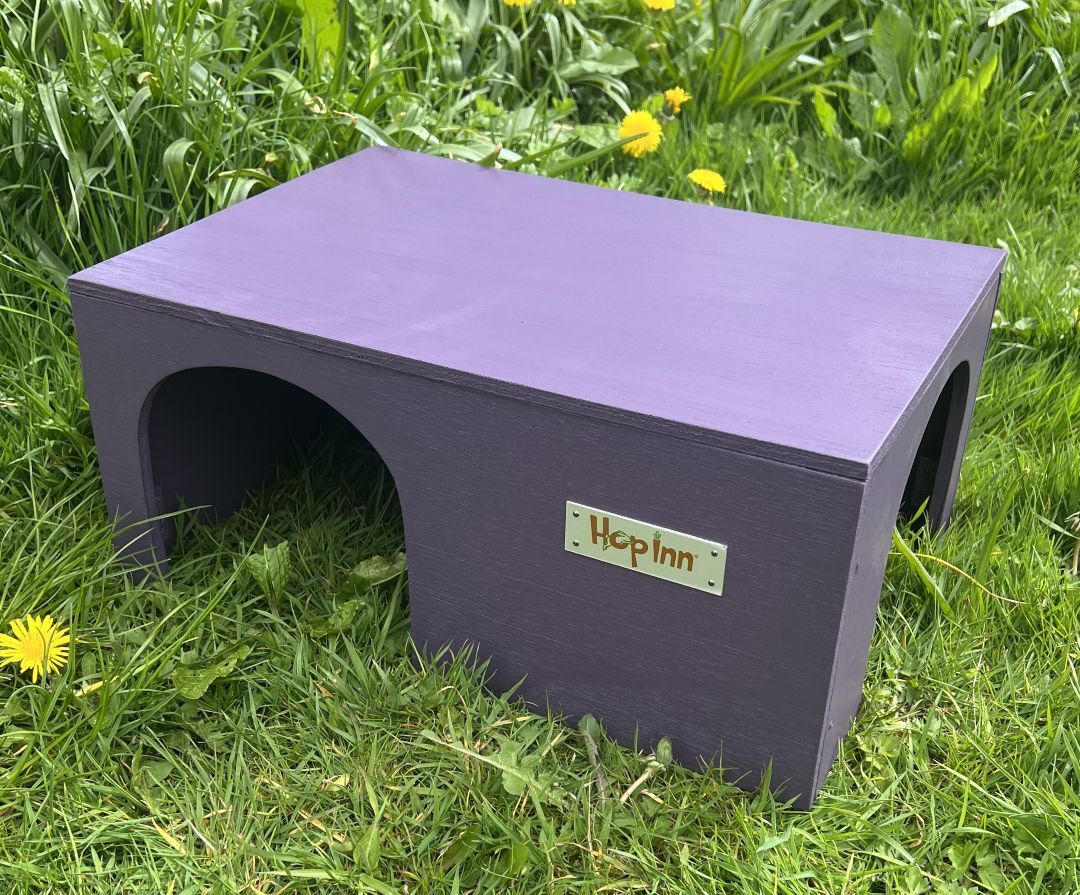 Extra Large Guinea Pig House (Czar Plum)
