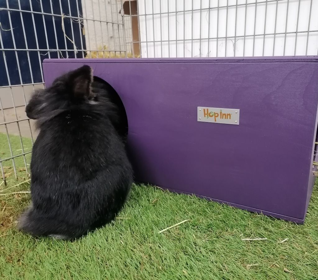 Rabbit Hideaway Wooden Arched Double Entrance (Various Colours) - Image 6