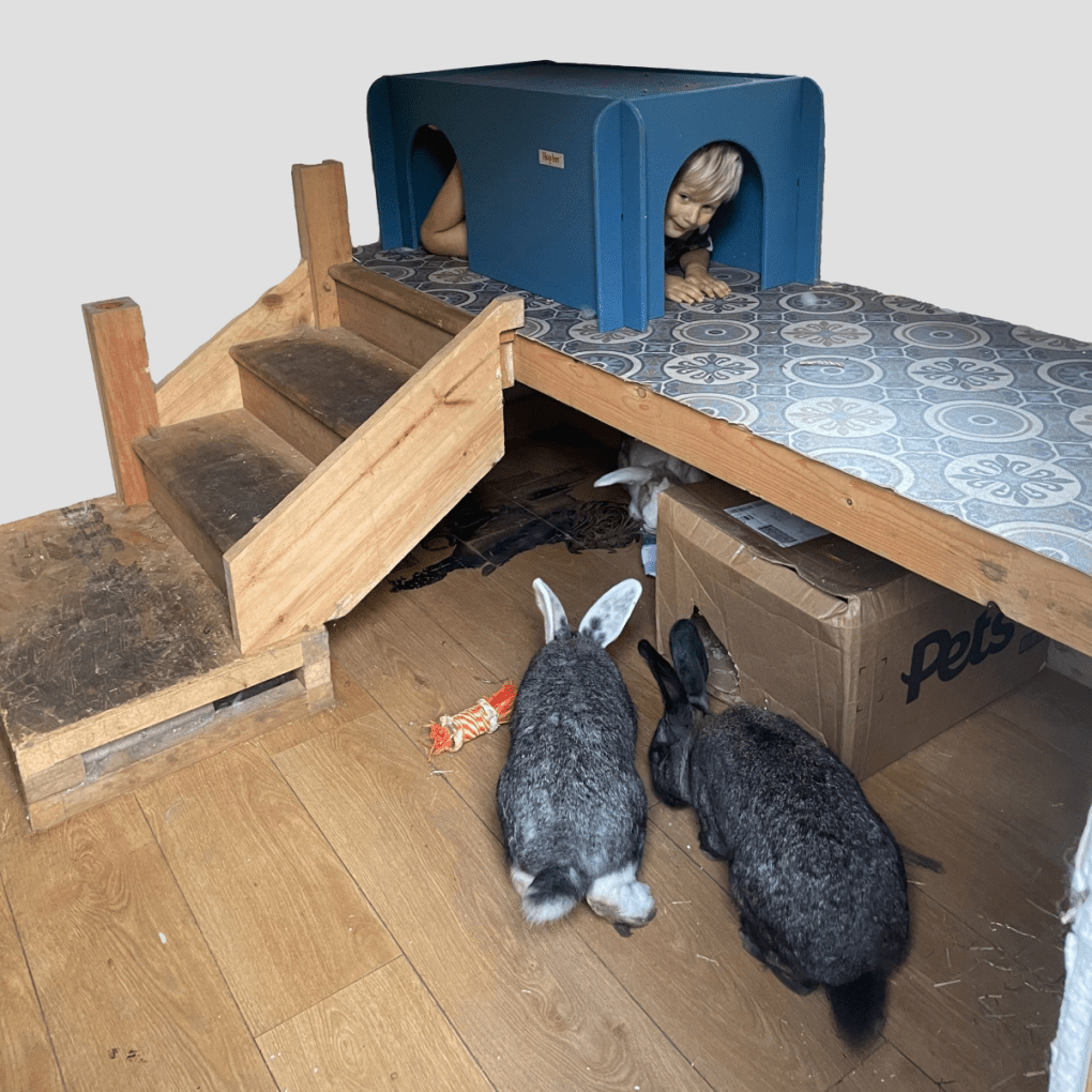 Giant Rabbit House Hideaway