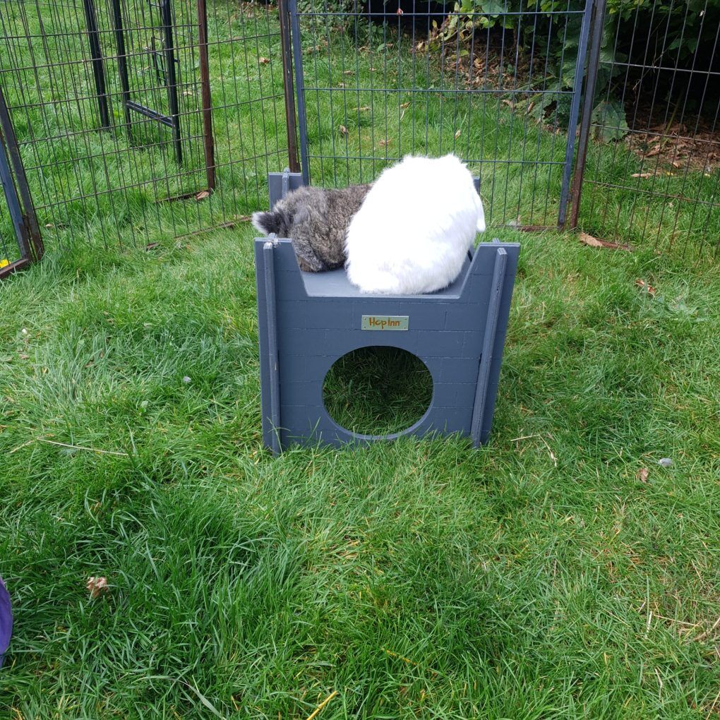Rabbit Castle for Cats and Kittens too (Slate Grey) - Image 5