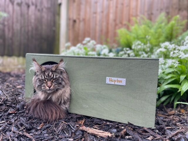 Rabbit Hideaway Cat Hideout - Moss Green - Image 7