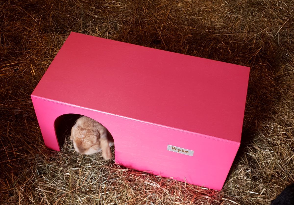 Rabbit Hideaway Wooden Arched Double Entrance (Various Colours) - Image 5