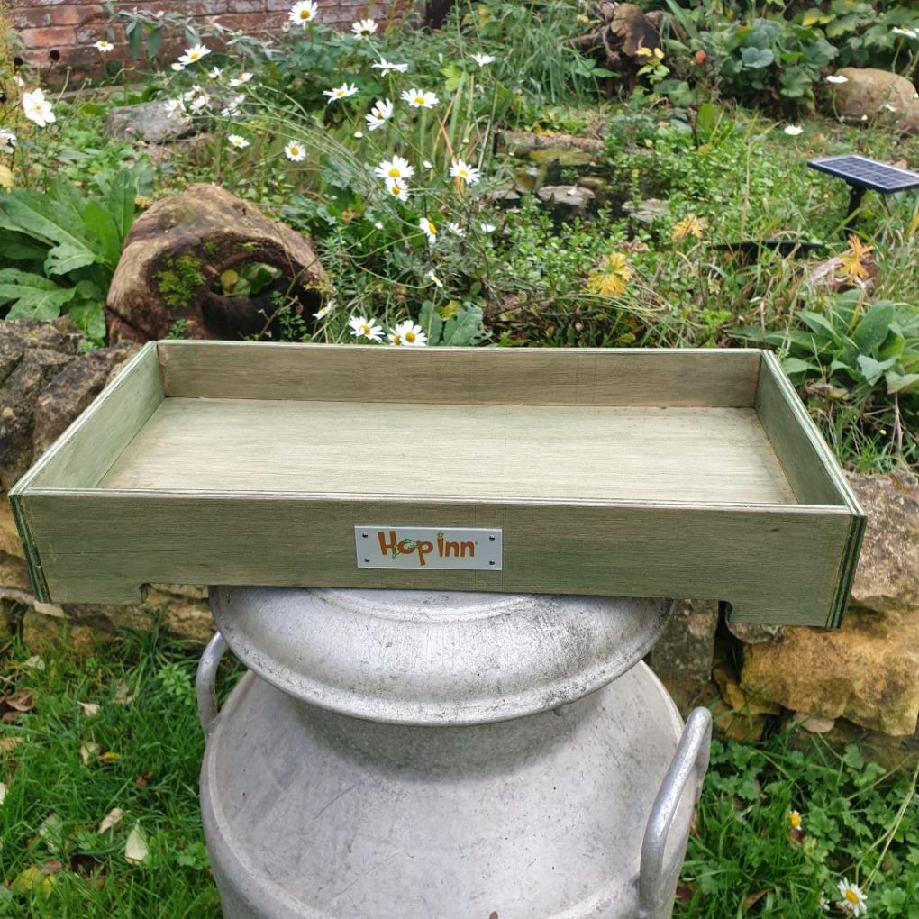 Forage Box Tray for Rabbits and Guinea Pigs (Czar Plum) - Image 10