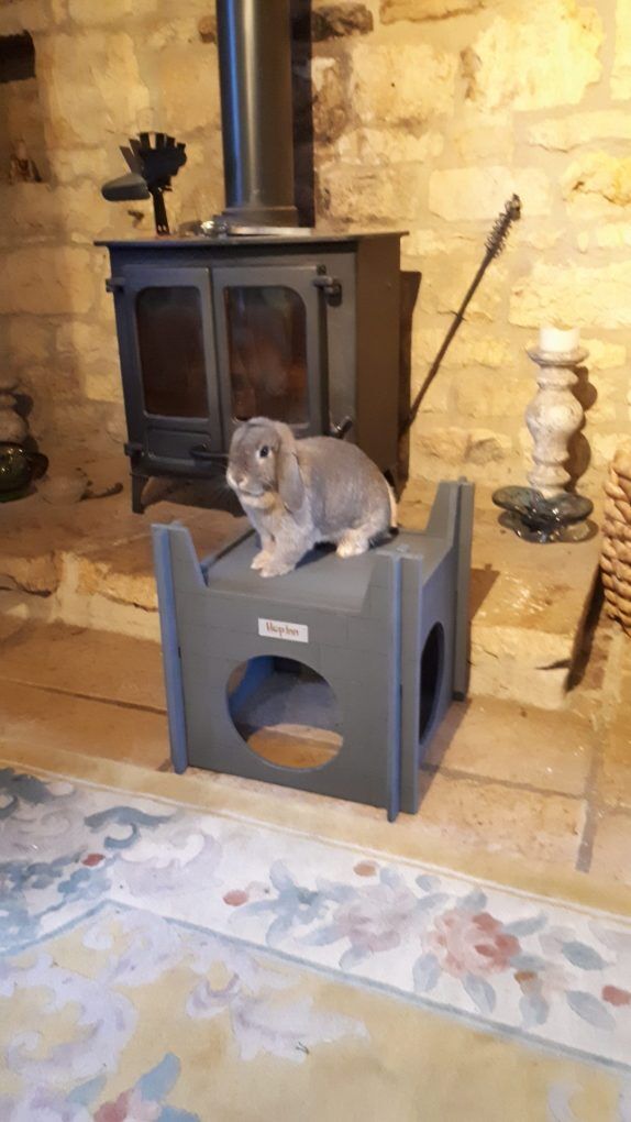 Rabbit Hideaway and Castle Modular (Slate Grey) - Image 9