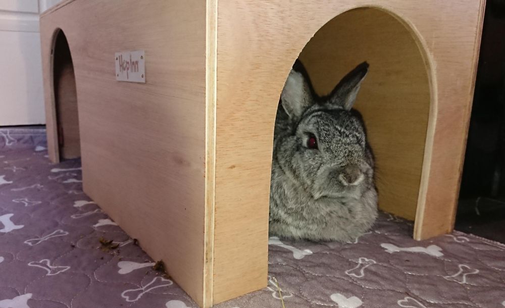 Rabbit Hideaway Wooden Arched Double Entrance (Various Colours) - Image 11