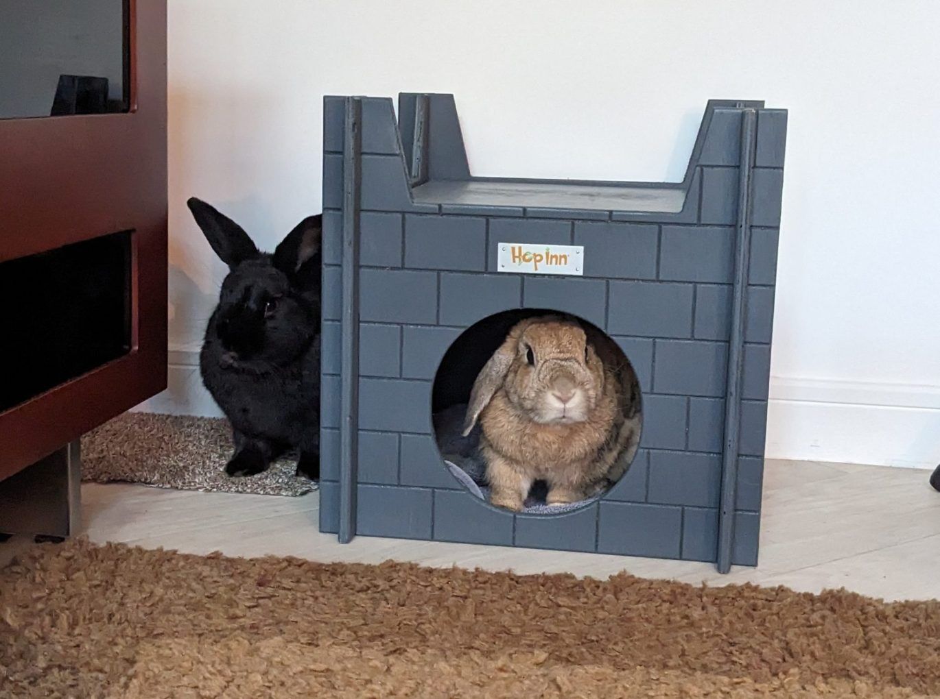 Rabbit Castle for Cats and Kittens too (Slate Grey) - Image 6