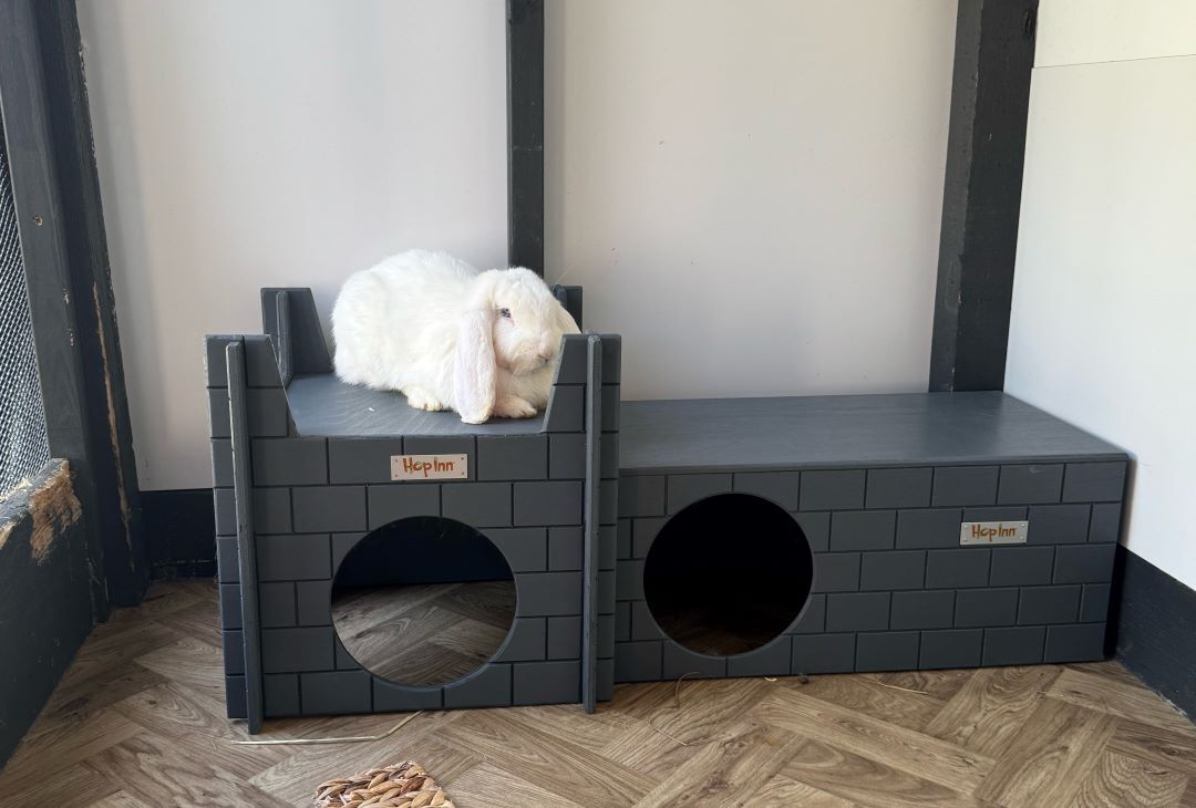 Rabbit Hideaway and Castle Modular (Slate Grey) - Image 16