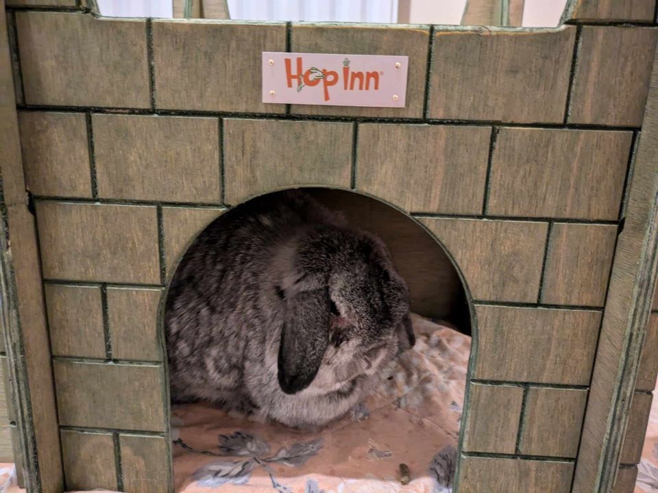 Wooden Rabbit Castle - 3 Way Entrance - Bricked Faced (Moss Green) - Image 2