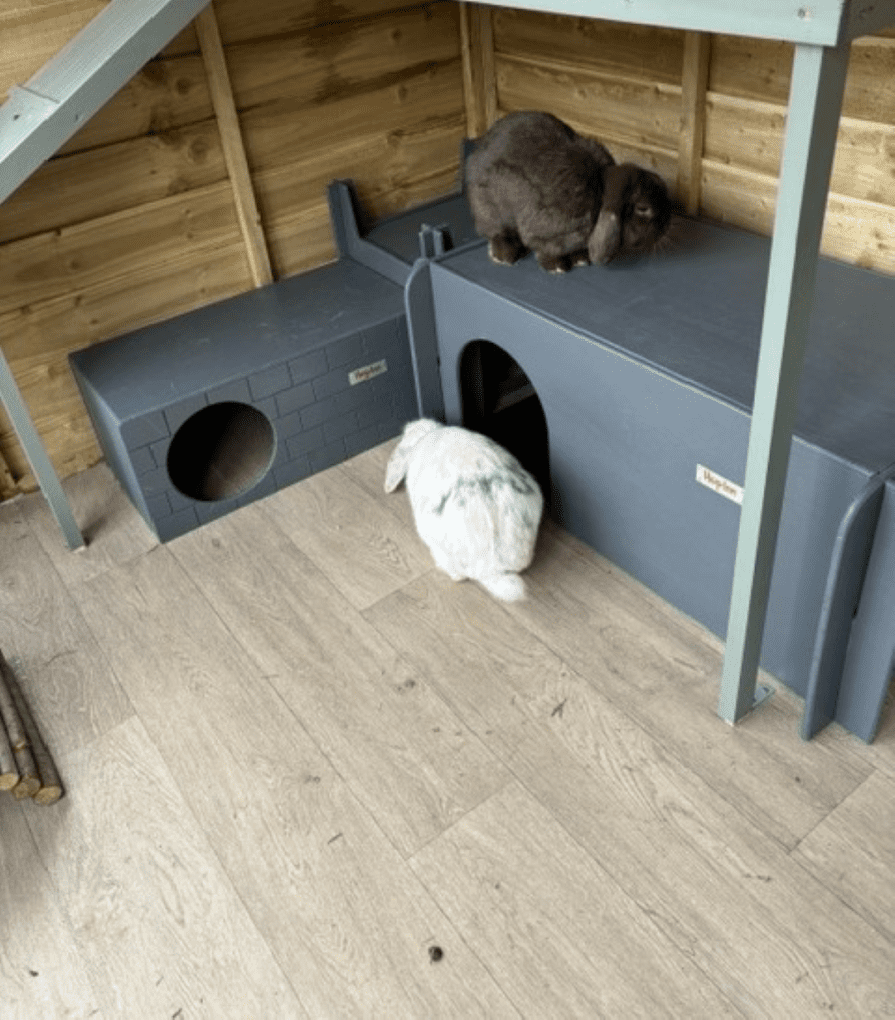 Giant Rabbit Hideaway Wooden Double Entrance for Indoor or Outdoor - Colour Options (New) - Image 6