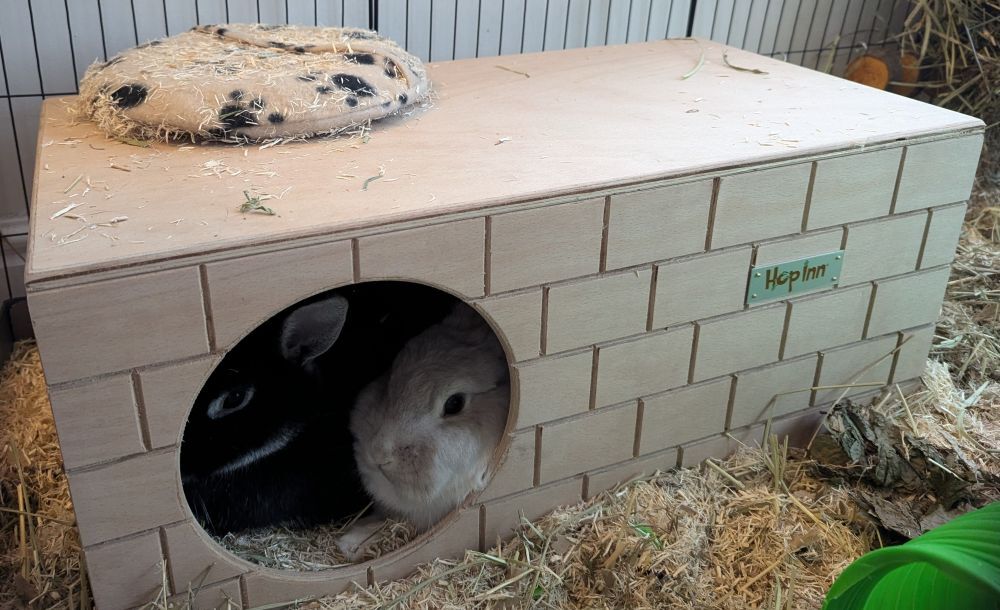 Rabbit Bricked Hideaway - Double Entrance (Natural)