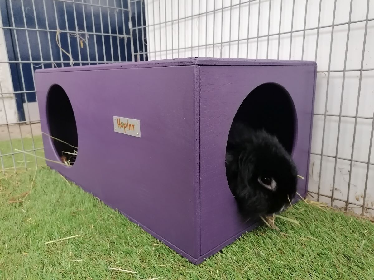 Rabbit Hideaway Removeable Base (NEW) - Image 5