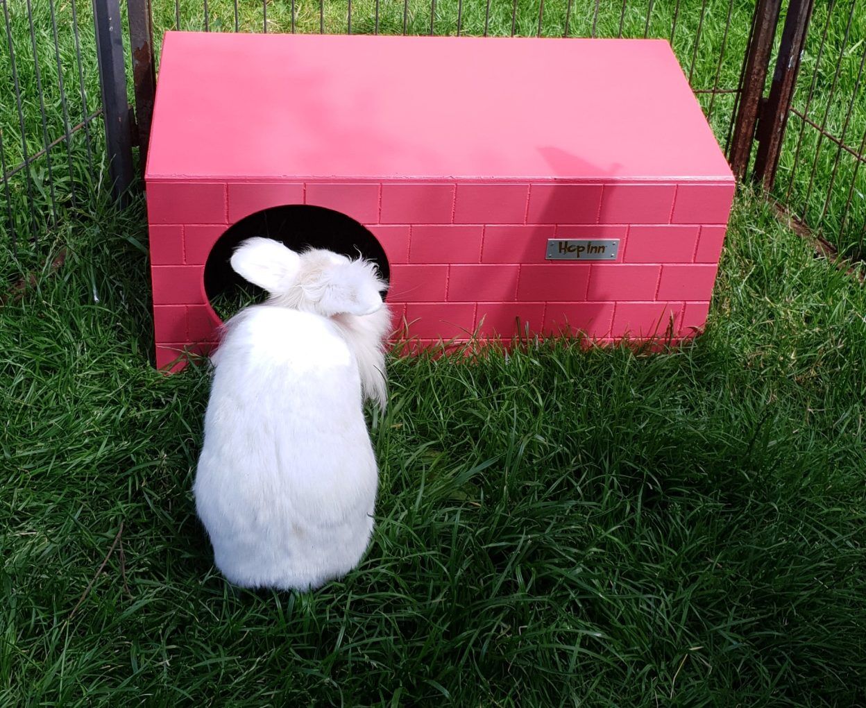 Rabbit Castle and Hideaway Use Together or Separately (Flamingo Pink) - Image 6