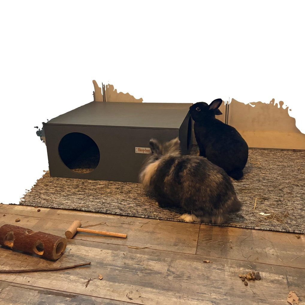Extra Large Rabbit Hideaway - Colour Options (New) - Image 4