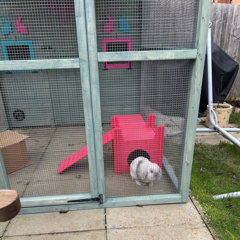 Rabbit Ramp for the Castle - Image 4