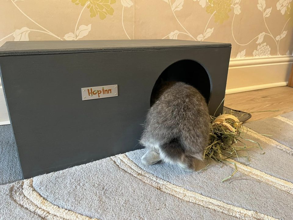 Rabbit Hideaway House - Slate Grey