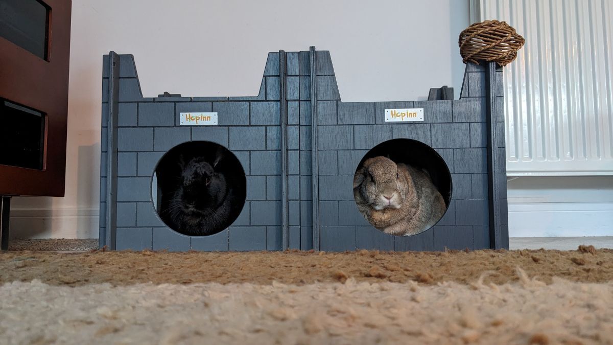 Rabbit Castle for Cats and Kittens too (Slate Grey) - Image 12