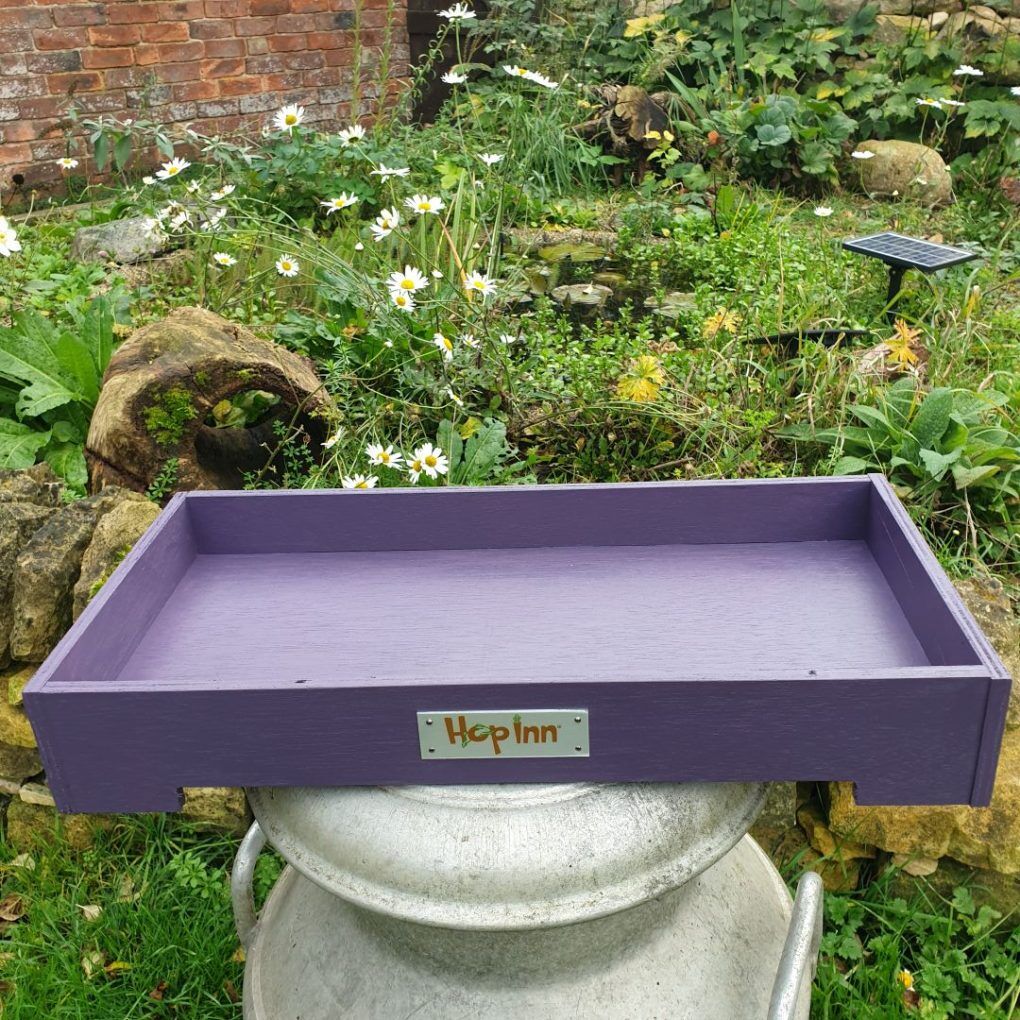 Forage Box Tray (Czar Plum) - Image 11