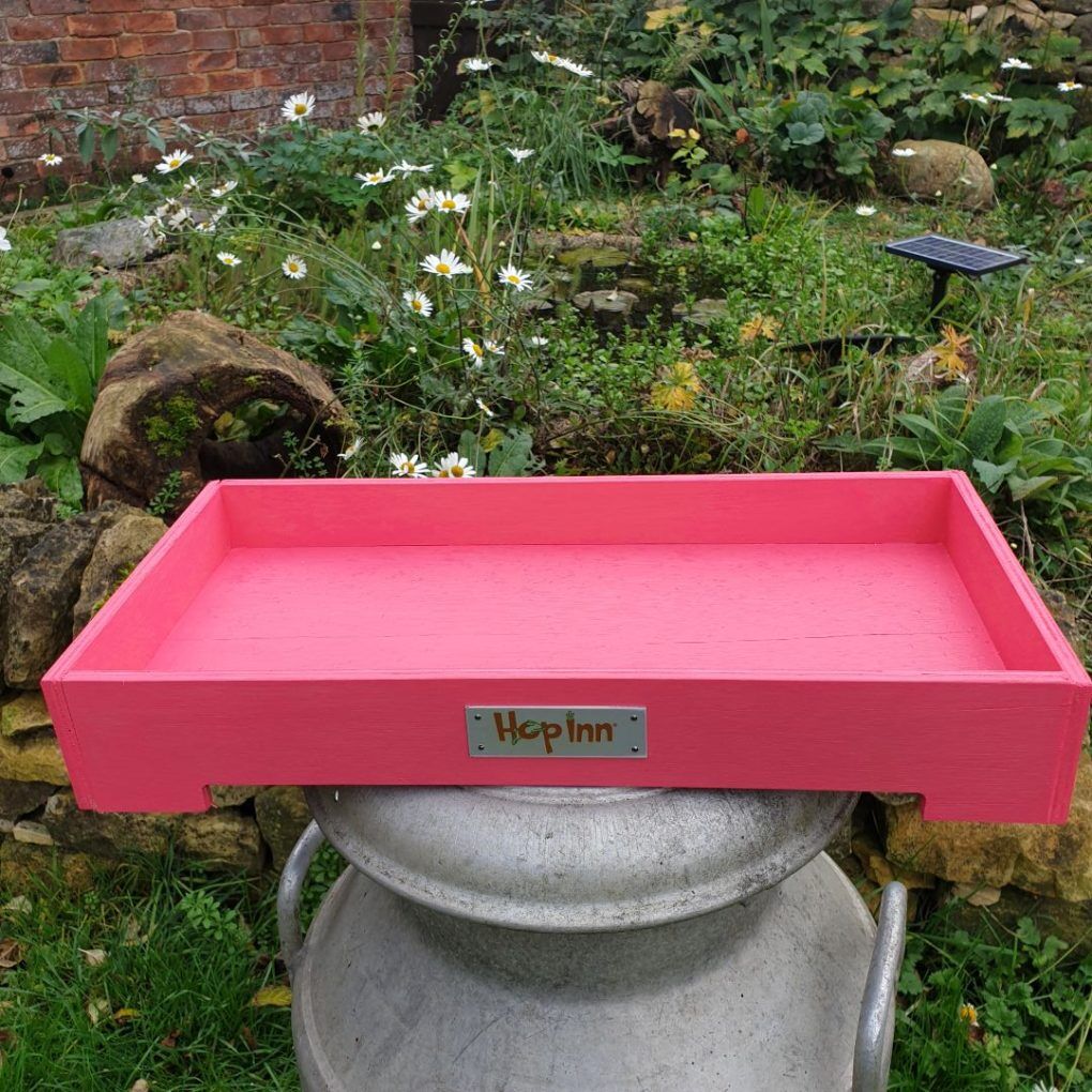 Forage Box Tray (Czar Plum) - Image 8