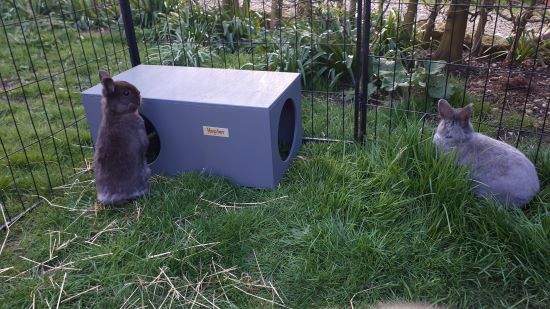 Rabbit Hideaway House - Slate Grey - Image 6