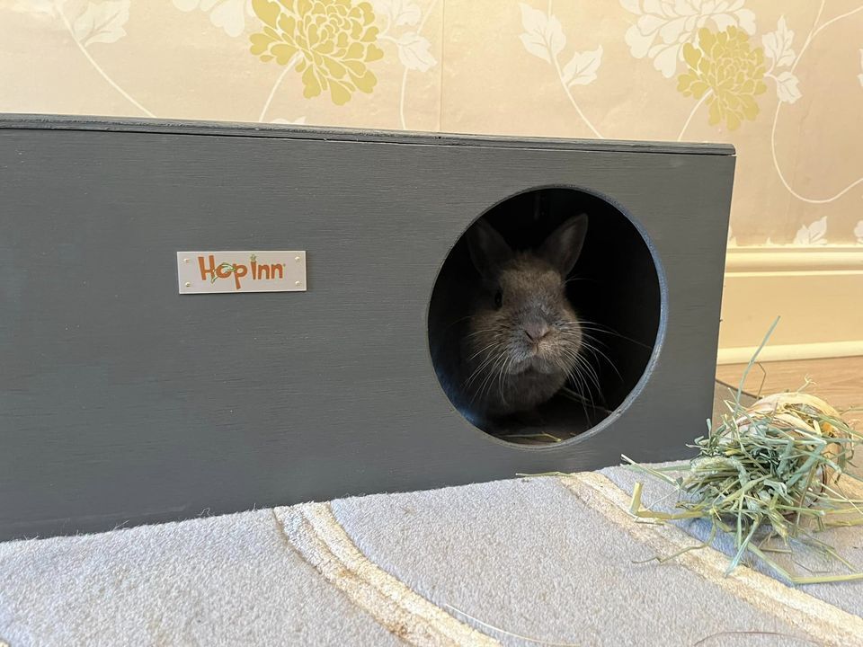 Rabbit Hideaway House - Slate Grey - Image 9