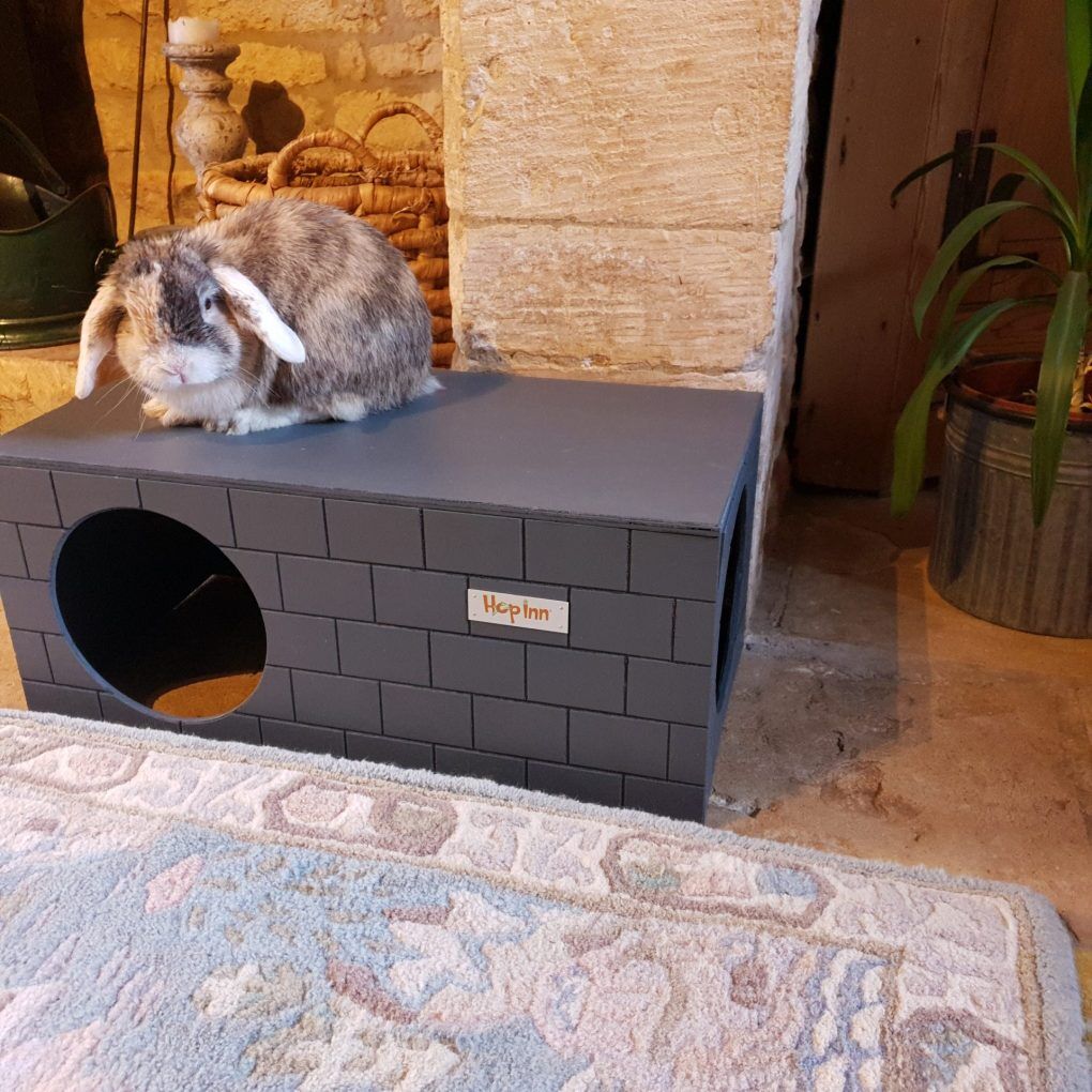 Rabbit Hideaway Bricked (Slate Grey) - Image 5