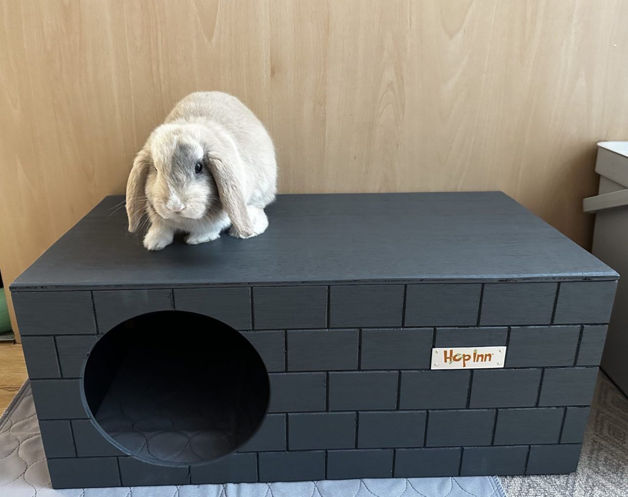 Rabbit Hideaway Bricked (Slate Grey) - Image 8