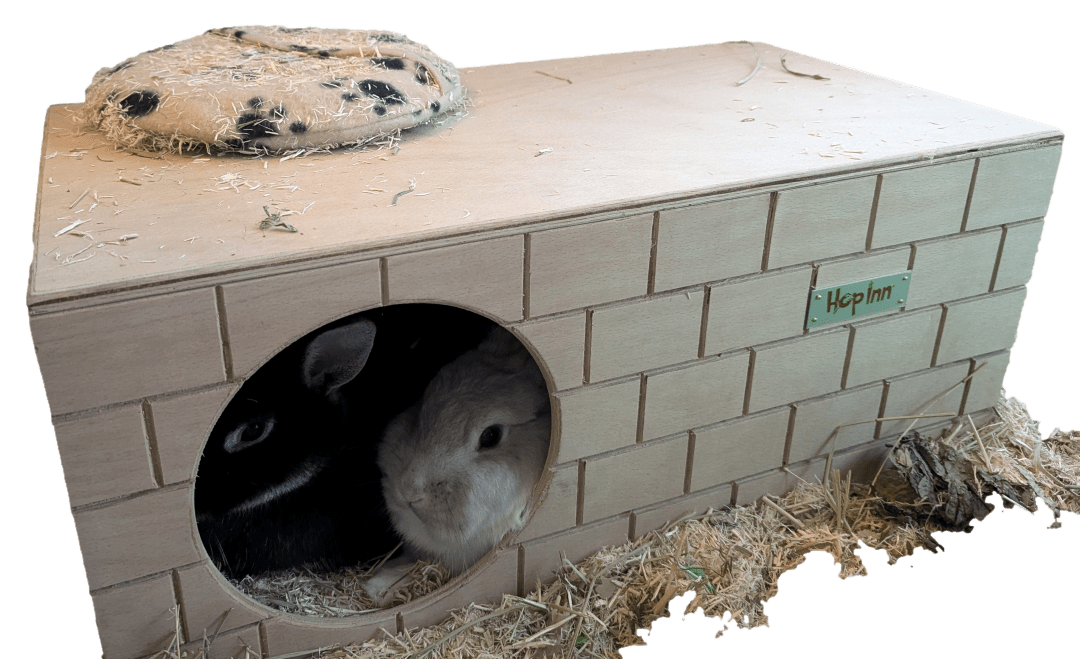 Rabbit Hideaway and Castle - Use Together or Separately (Natural) - Image 3