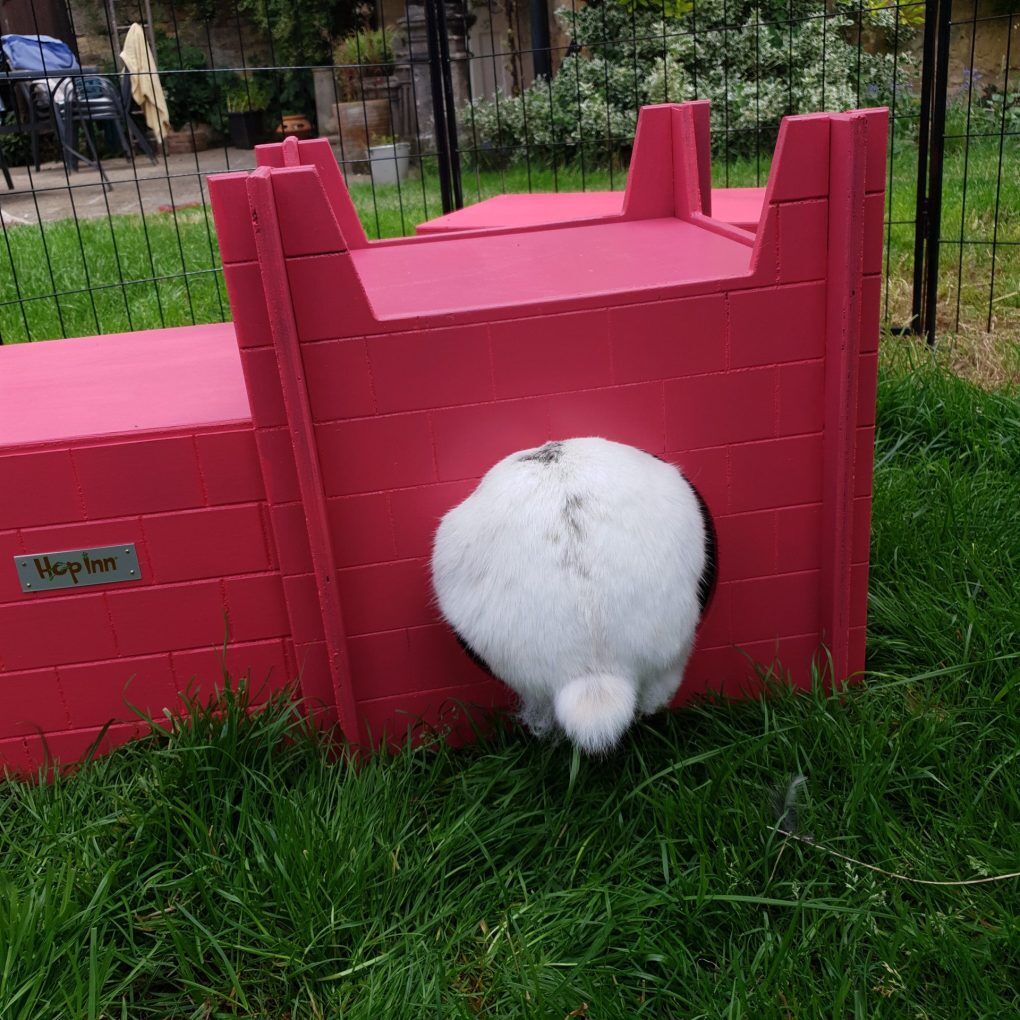 Rabbit Castle and Hideaway Use Together or Separately (Flamingo Pink) - Image 3