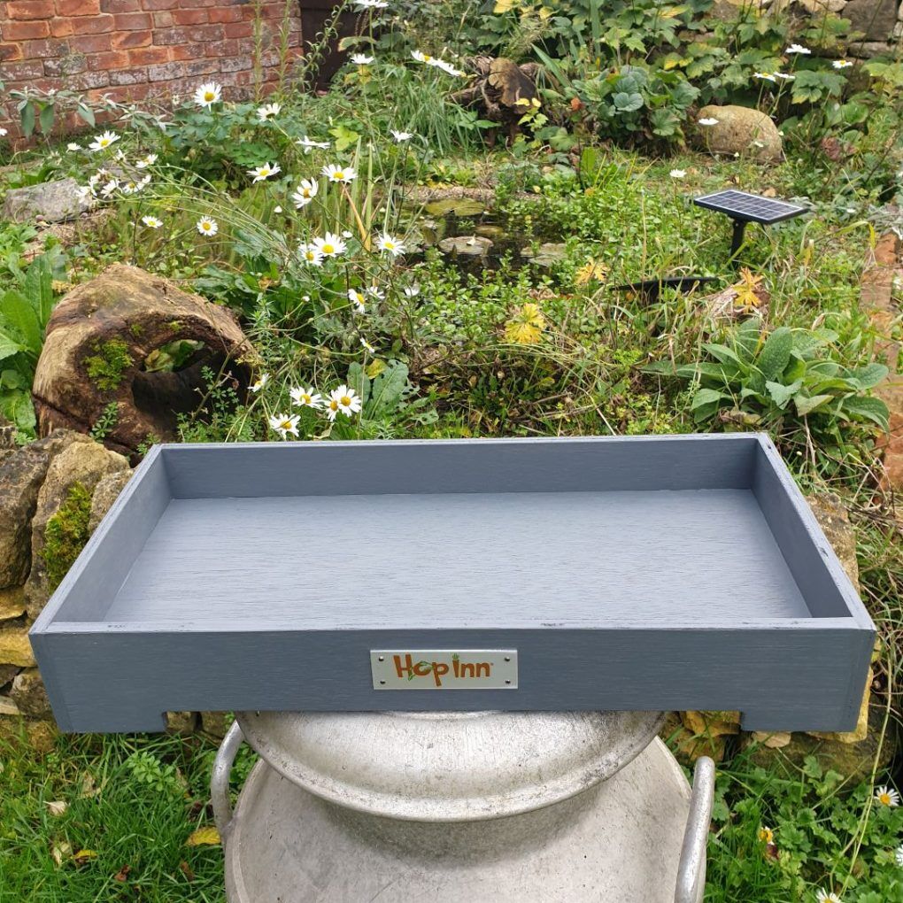 Forage Box Tray for Rabbits and Guinea Pigs (Czar Plum) - Image 7