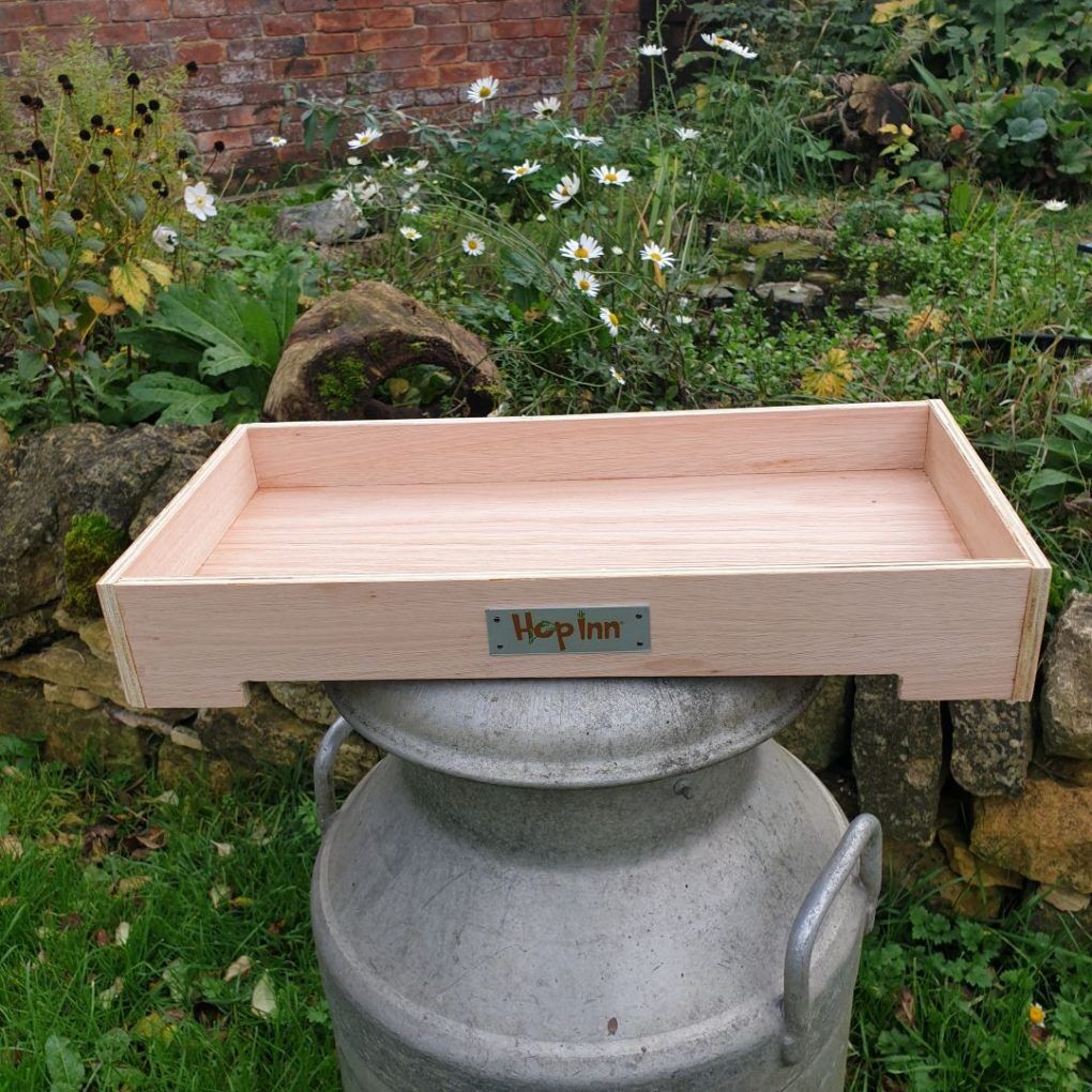 Forage Box Tray for Rabbits and Guinea Pigs (Czar Plum) - Image 9