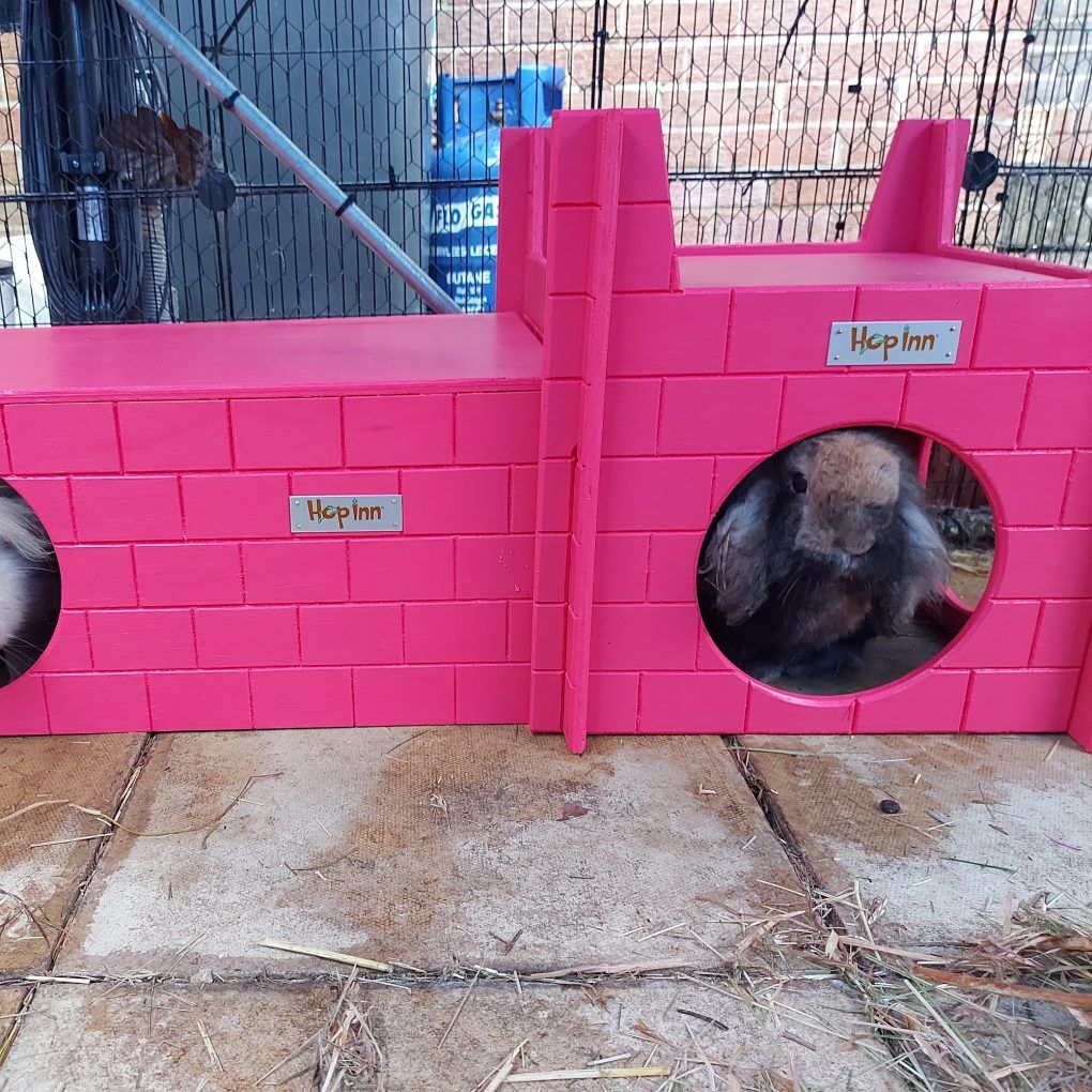 Rabbit Castle and Hideaway Use Together or Separately (Flamingo Pink) - Image 8