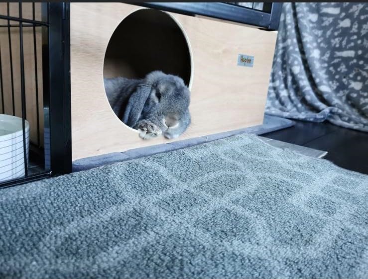 Rabbit Hideaway House - Natural - Image 2