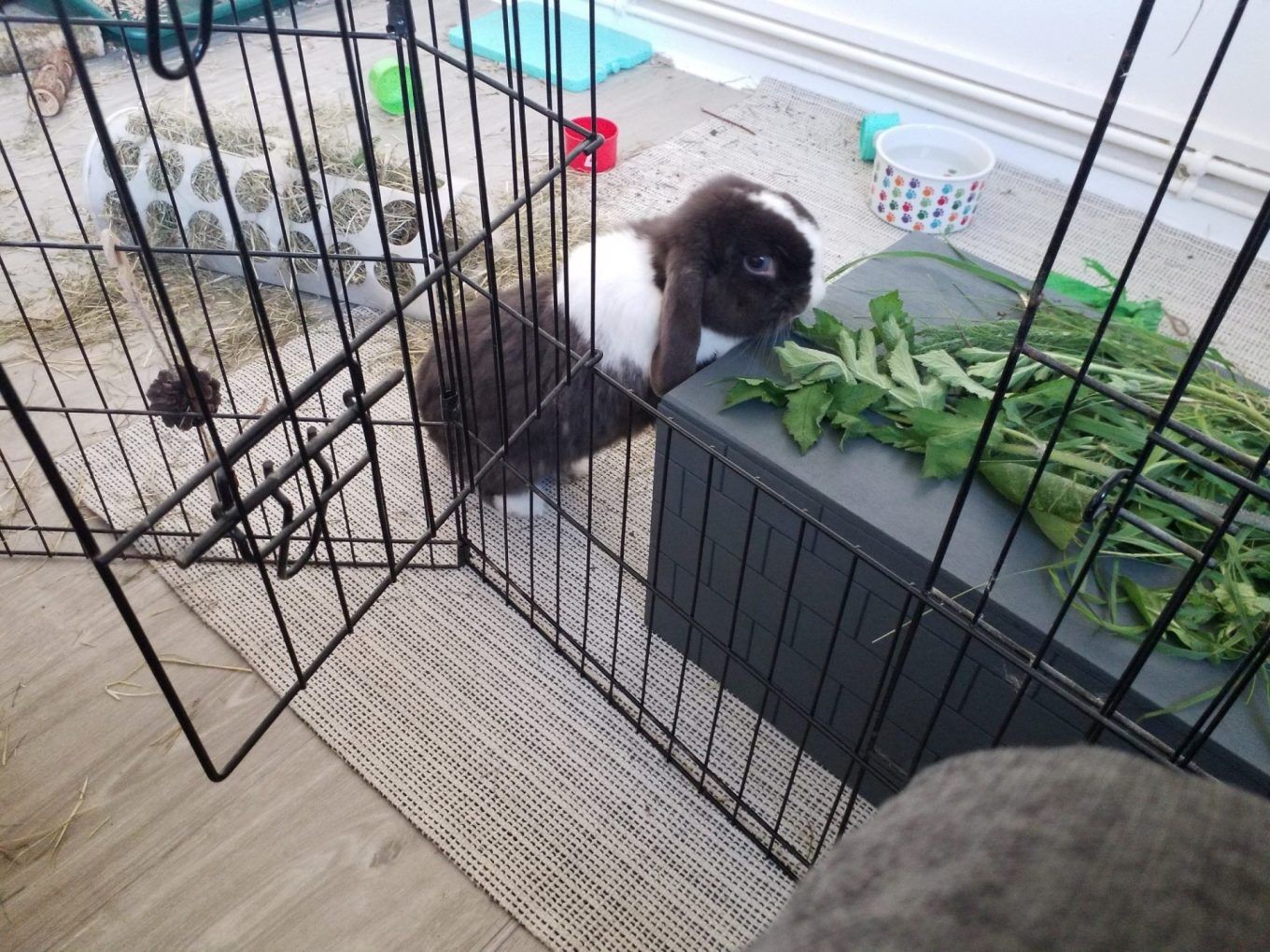 Rabbit Hideaway and Castle Modular (Slate Grey) - Image 8