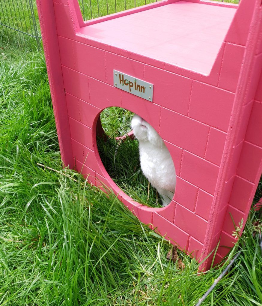 Rabbit Castle and Hideaway Use Together or Separately (Flamingo Pink) - Image 4