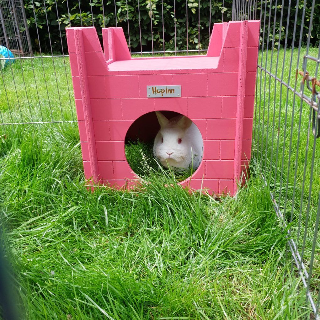 Rabbit Castle and Hideaway Use Together or Separately (Flamingo Pink) - Image 5