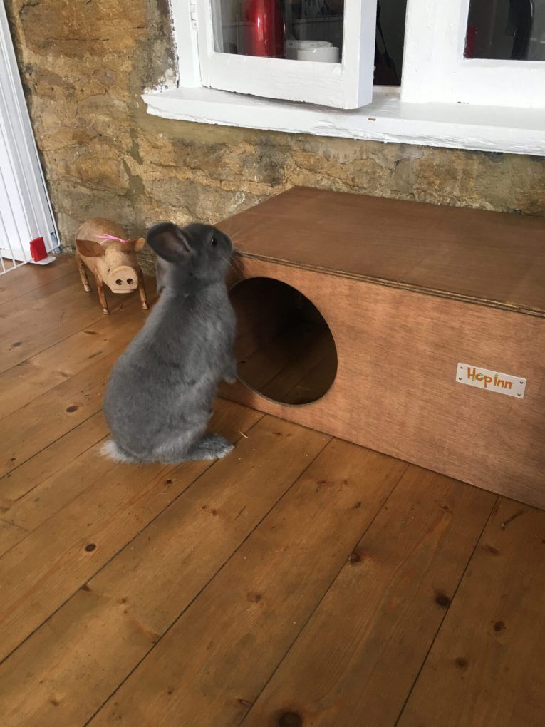 Rabbit Hideaway Cat Hideout - Weathered Wood - Image 7