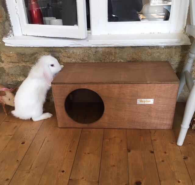Rabbit Hideaway Cat Hideout - Weathered Wood - Image 6