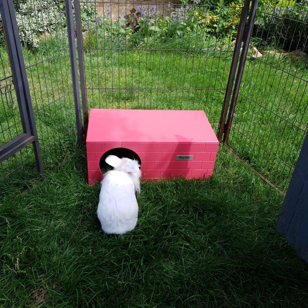 Rabbit Bricked Hideaway (Flamingo Pink) - Image 3