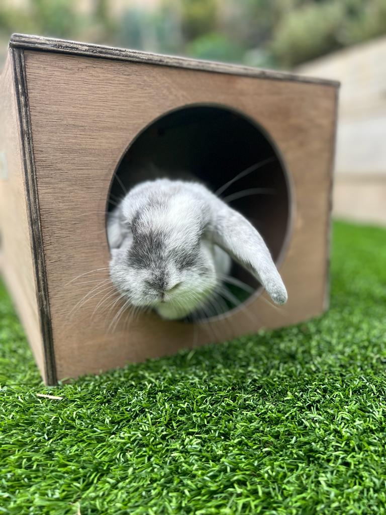 Rabbit Hideaway Cat Hideout - Weathered Wood - Image 10