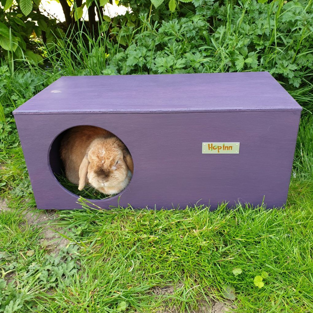 Rabbit Hideaway House - Czar Plum - Image 2