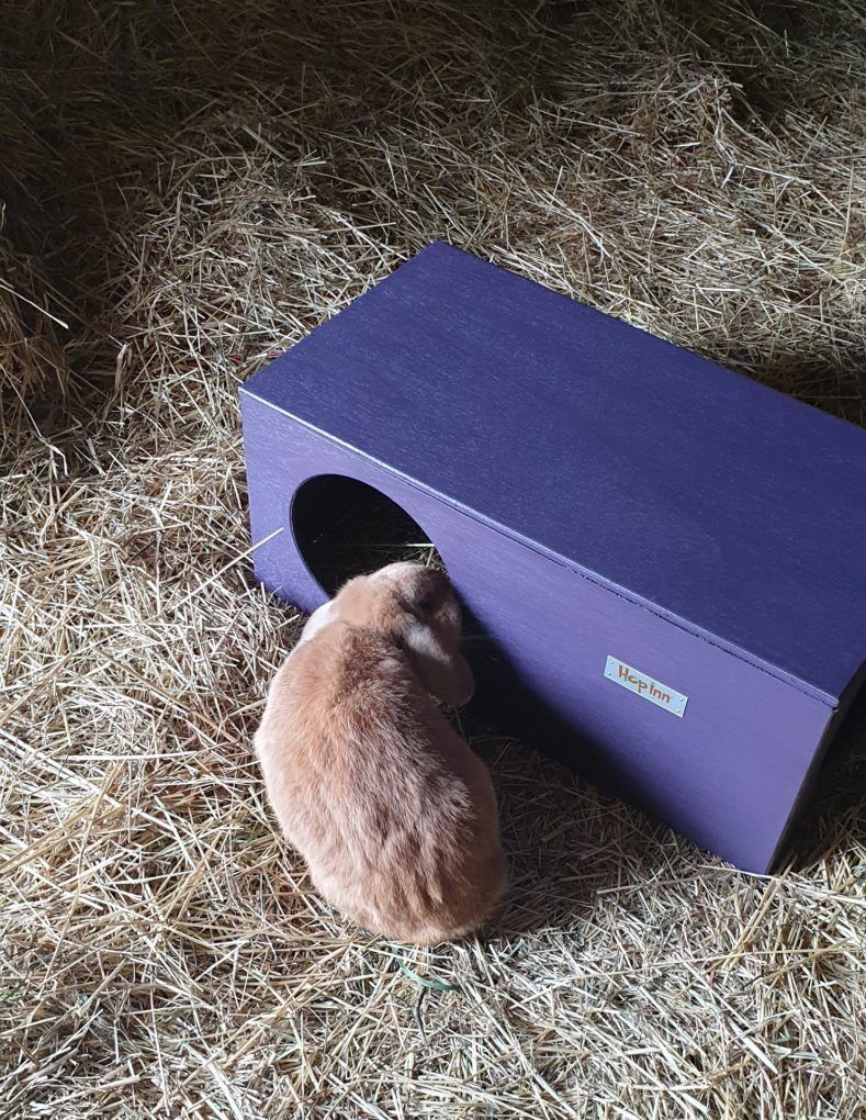 Rabbit Hideaway House - Czar Plum - Image 4