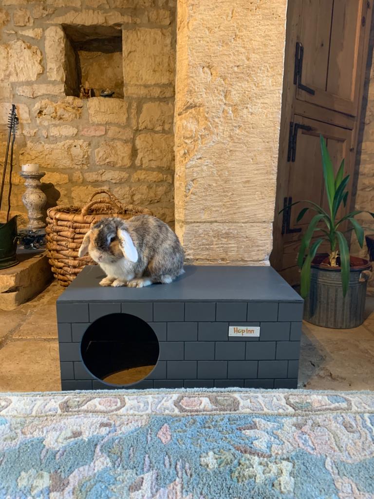 Rabbit Hideaway and Castle - Use Together or Separately (Slate Grey) - Image 10