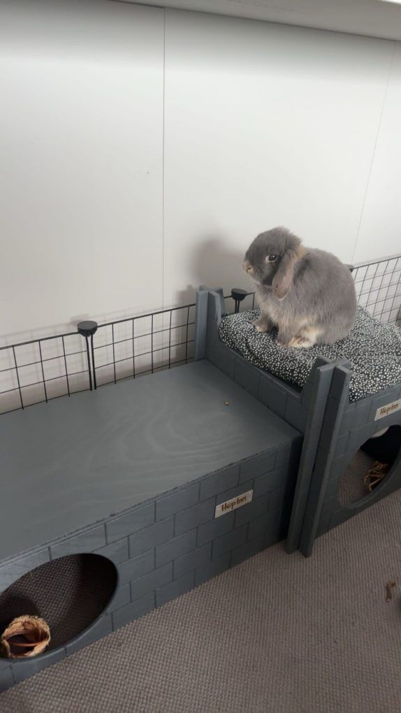 Rabbit Hideaway and Castle - Use Together or Separately (Slate Grey) - Image 13